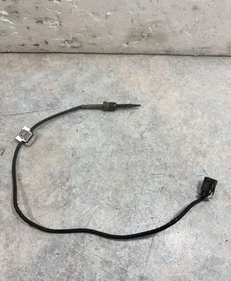 BMW X5 G05 Exhaust gas temperature sensor 8419045