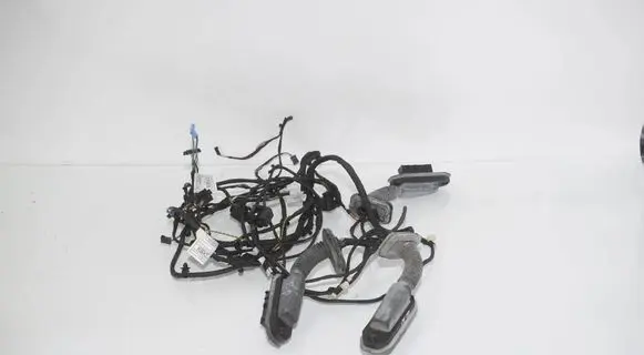 BMW 5 F10 F11 Front door wiring loom 9256002 9256017 9282072