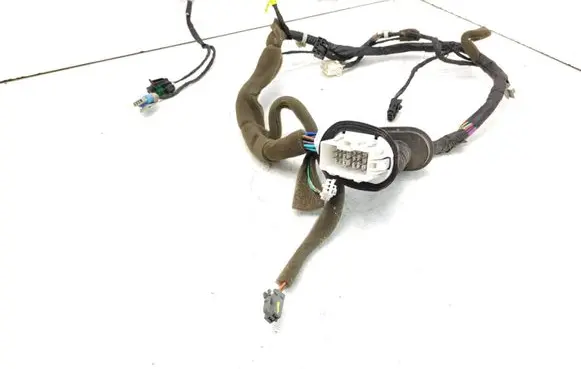 Front door wiring loom