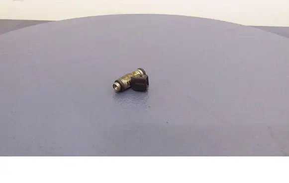 Fiat Albea Fuel injector IWP160