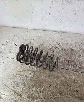 Volkswagen PASSAT B6 Rear coil spring