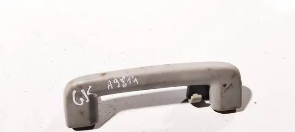 Ford Focus C-MAX Rear interior roof grab handle