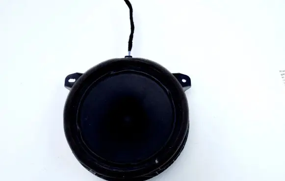 Front door speaker