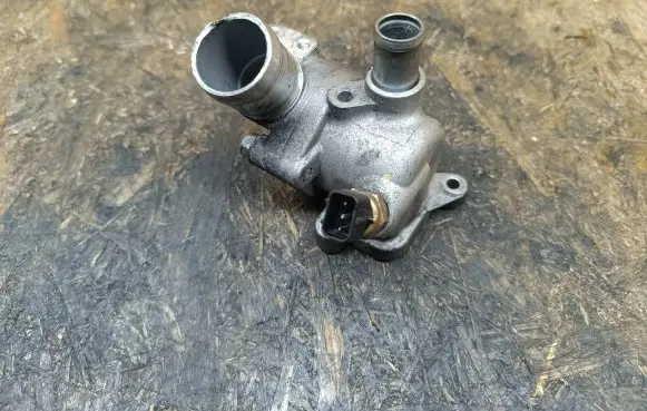 Thermostat/thermostat housing