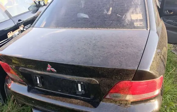 Mitsubishi Galant Front door rubber seal 