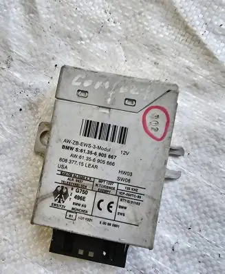 BMW 5 E39 Immobilizer control unit/module 61356905666 61356905667