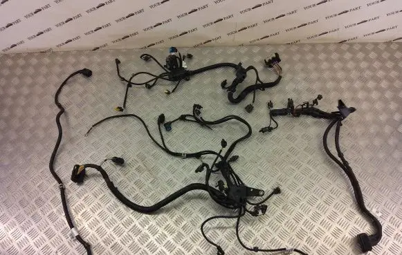 BMW X1 F48 F49 Engine installation wiring loom 7639967