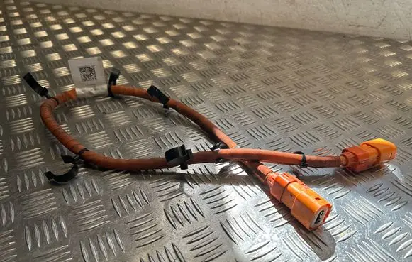 Cupra Formentor Other wiring loom 3GD971475 20092