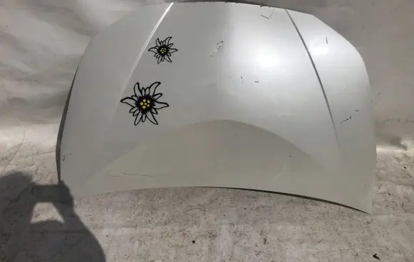 Toyota Prius (XW50) Engine bonnet/hood