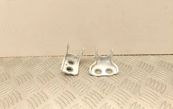 Citroen C4 III e-C4 Rear door hinge set