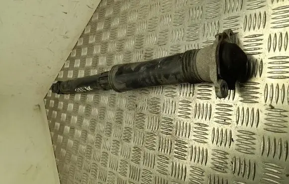 BYD Atto 3 Rear shock absorber/damper SC2EEY2