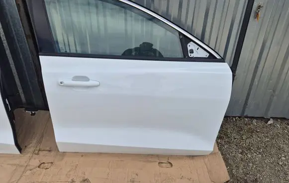 Ford Focus Front door 