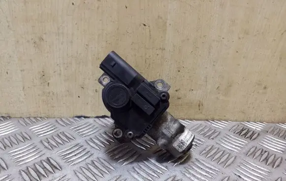 Nissan Qashqai EGR valve 70036805 D501916000