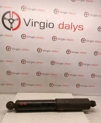 Chevrolet Captiva Rear shock absorber/damper