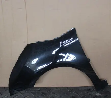 Citroen C4 I Picasso Fender