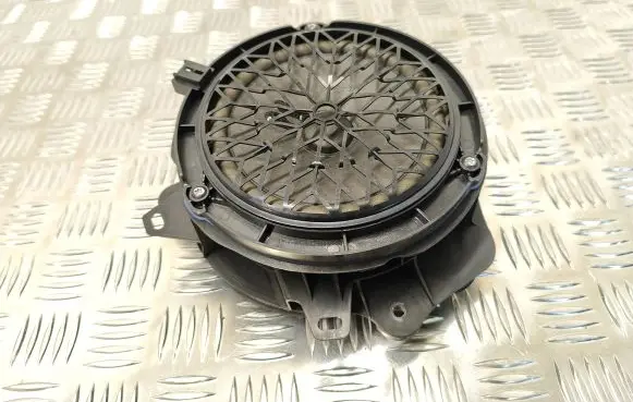 Rear door speaker