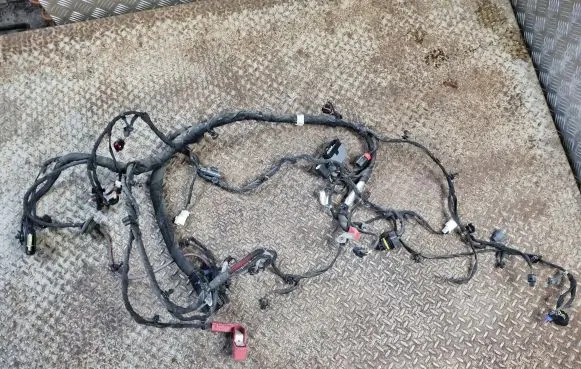 Dodge Charger Engine installation wiring loom P68333803AD
