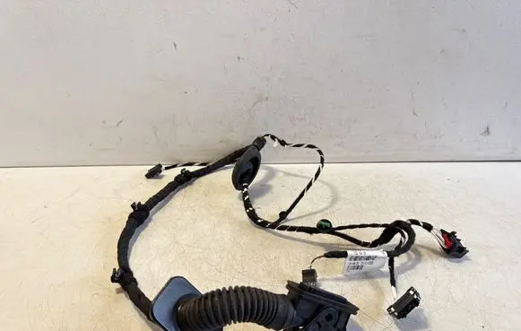 Volkswagen T-Roc Rear door wiring loom 2GA971693K