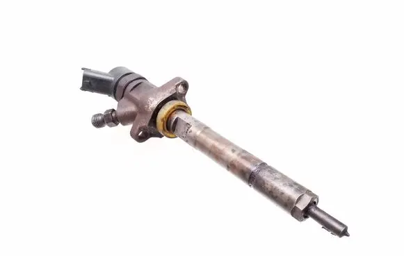 Citroen Berlingo Fuel injector 0445110239