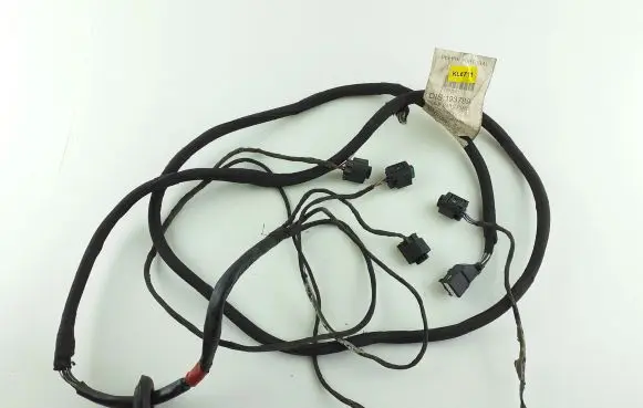 Maserati Quattroporte Parking sensor (PDC) wiring loom 193789 CINS000313