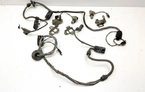 Other wiring loom