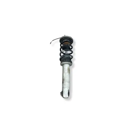 BMW M6 Rear shock absorber with coil spring 2284670 33522284670