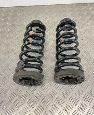 Rear coil spring