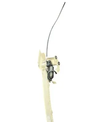 Mercedes-Benz C W205 Curtain motor 9918017265