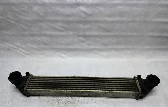 Mercedes-Benz A W169 Intercooler radiator A1695000009 0248755 C04G0976