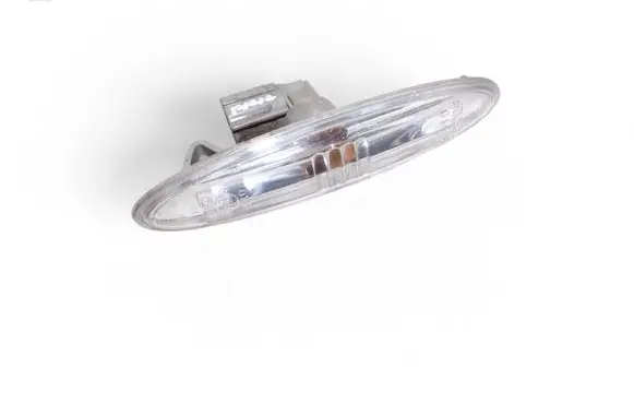 Front fender indicator light