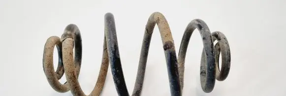 Volkswagen PASSAT B5.5 Rear coil spring