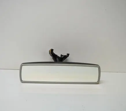 Volkswagen PASSAT B7 Rear view mirror (interior) E10110003