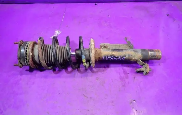 Ford Fusion Front shock absorber with coil spring 