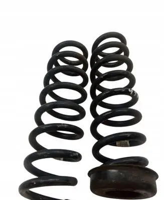 Rear coil spring