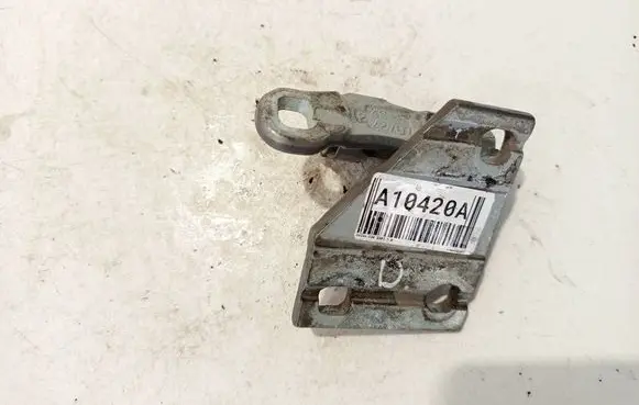 Tailgate/trunk/boot hinge