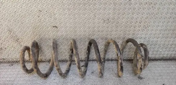 Volkswagen Jetta V Rear coil spring