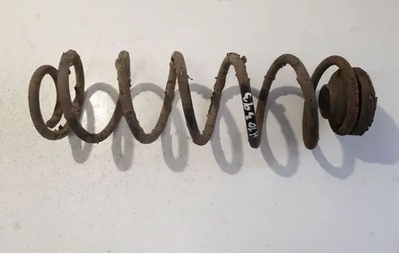 Rear coil spring