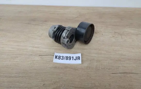 Dacia Dokker Alternator belt tensioner 117506193R