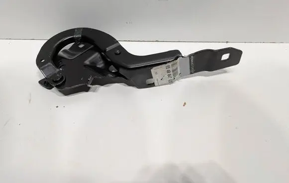 Renault Zoe Engine bonnet/hood hinges 654018609R