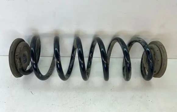 Volkswagen PASSAT B6 Rear coil spring