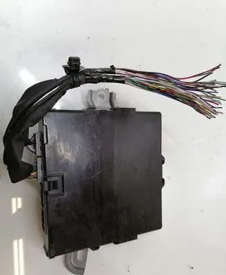 Engine control unit/module ECU