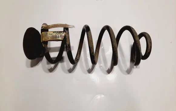 Rear coil spring