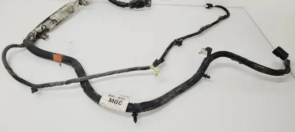 Other wiring loom