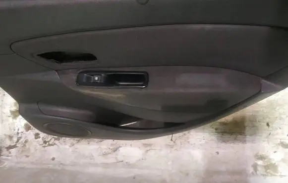 Renault Scenic III - Grand scenic III Rear door card panel trim