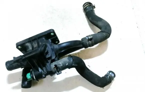 Citroen Berlingo Engine coolant pipe/hose 8734