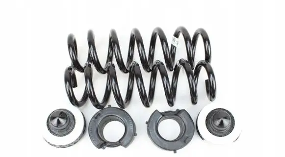 Rear coil spring