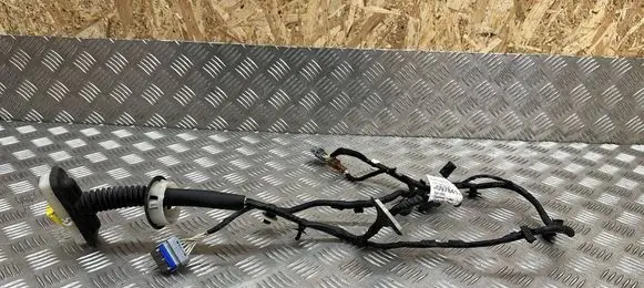 Citroen C4 Cactus Front door wiring loom 9809784180