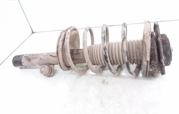 Peugeot 206 Front shock absorber with coil spring