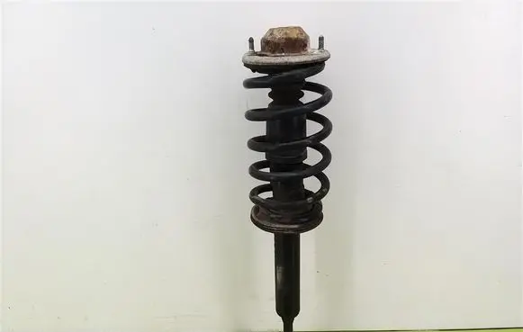 Skoda Superb B5 (3U) Front shock absorber with coil spring 