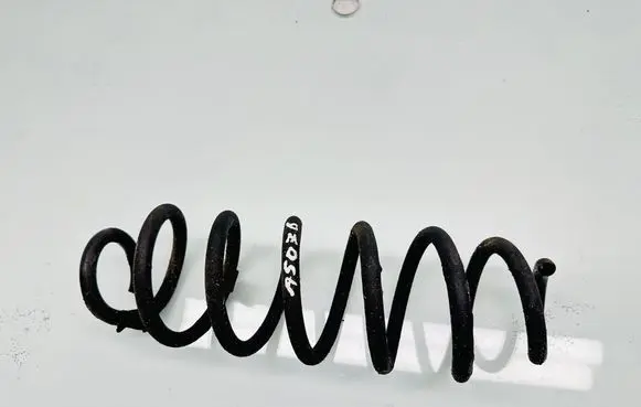 Rear coil spring